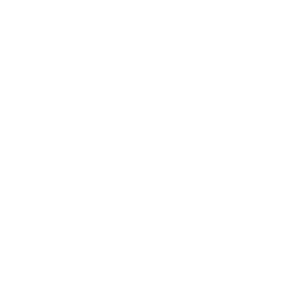 Niederlausitz aktuell untersützt die Visionary Secrets 2025